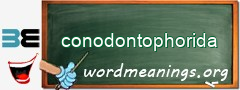 WordMeaning blackboard for conodontophorida